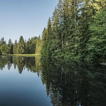 Waldglueck Appartement