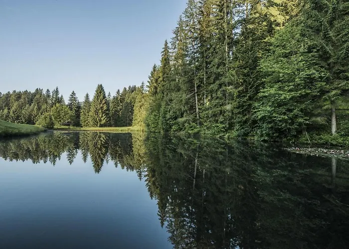 Waldglueck Apartment